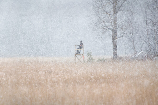 "The Lonely Hunter".